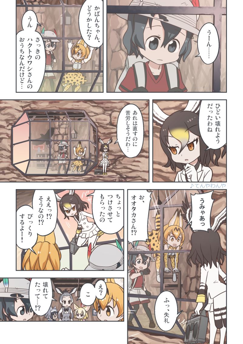 serval, kaban, common raccoon, fennec, northern goshawk, and 1 more (kemono friends) drawn by quick_waipa