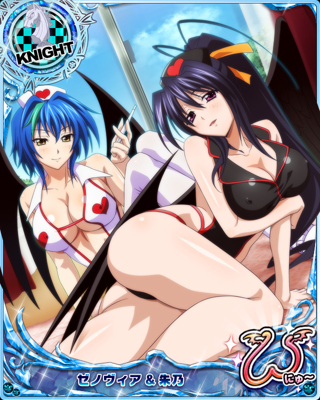 himejima akeno and xenovia quarta (high school dxd and 1 more)