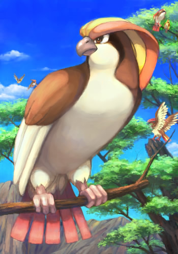 pidgey, pidgeot, and pidgeotto (pokemon) drawn by toto_mame