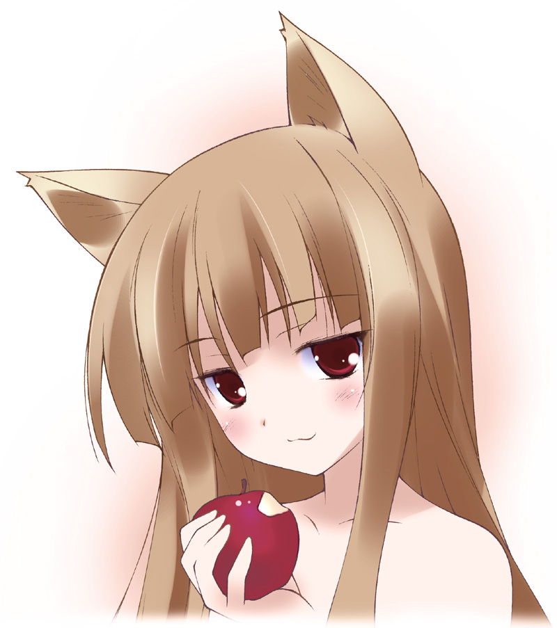 holo (spice and wolf) drawn by sakana_(flame_sakana)