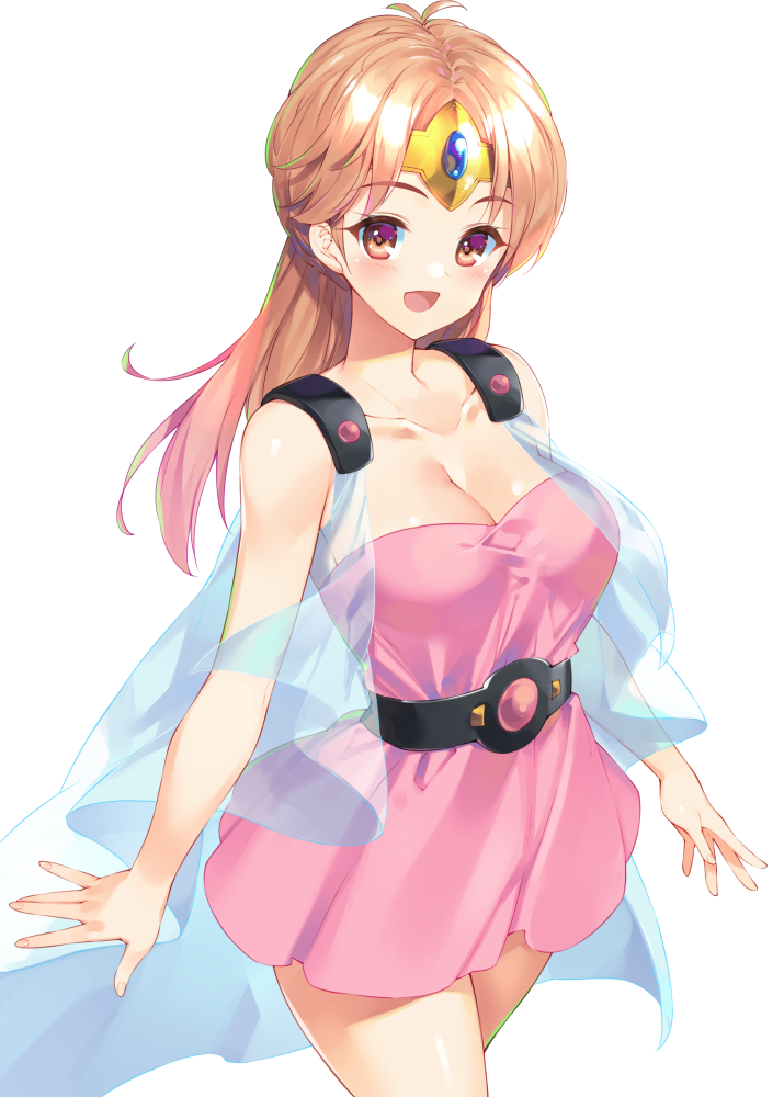princess leona (dragon quest and 1 more) drawn by bucchake_(asami)