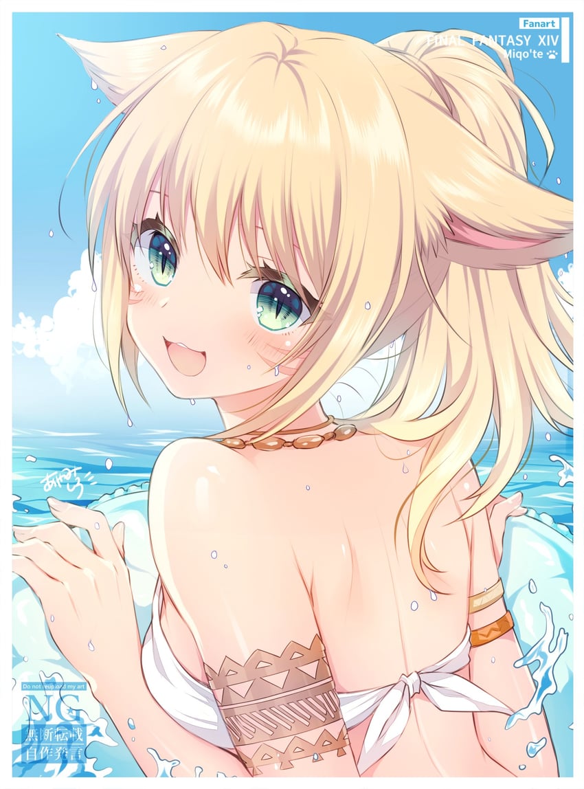 warrior of light (final fantasy and 1 more) drawn by ayamisiro