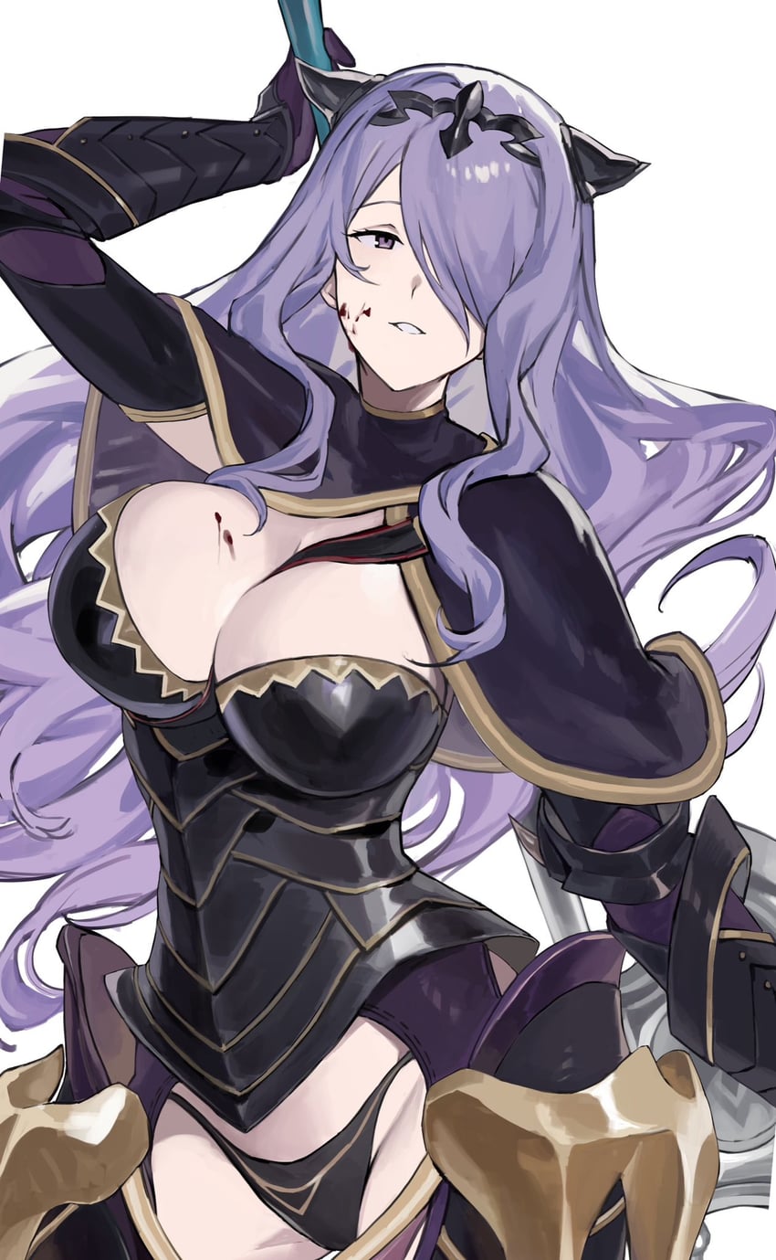 camilla (fire emblem and 1 more) drawn by hashibiro_kou_(garapiko_p)