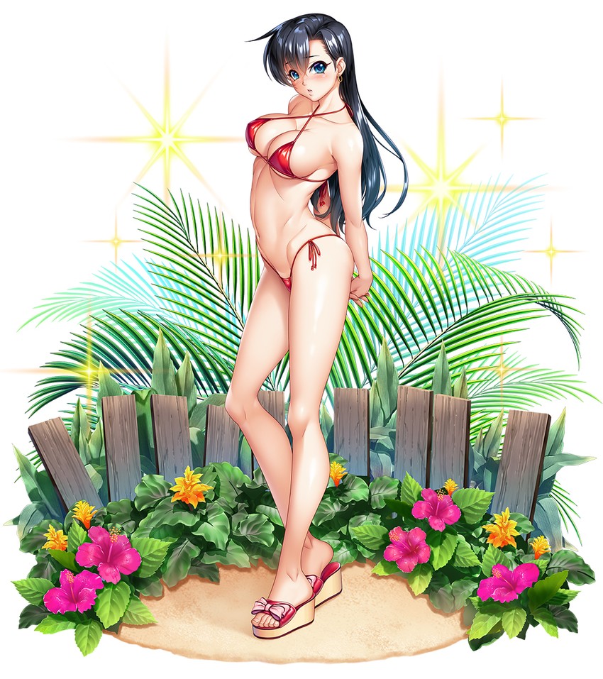 fuuma tokiko (taimanin and 1 more) drawn by zol
