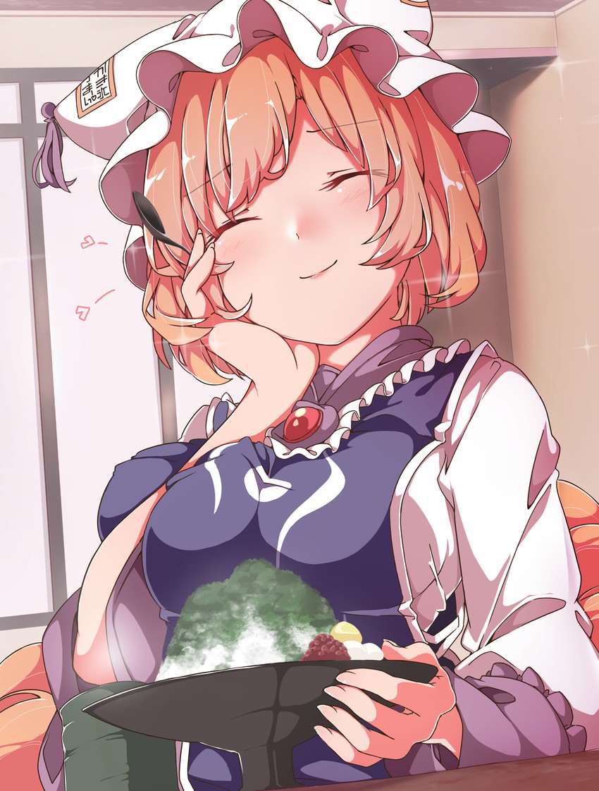 yakumo ran (touhou) drawn by gokuu_(acoloredpencil)