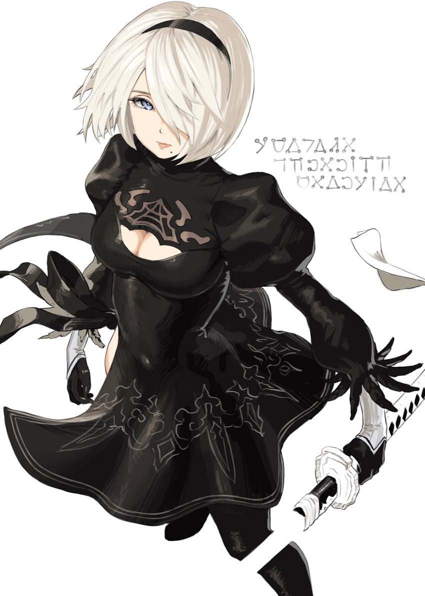2b (nier and 1 more) drawn by omaru_gyuunyuu