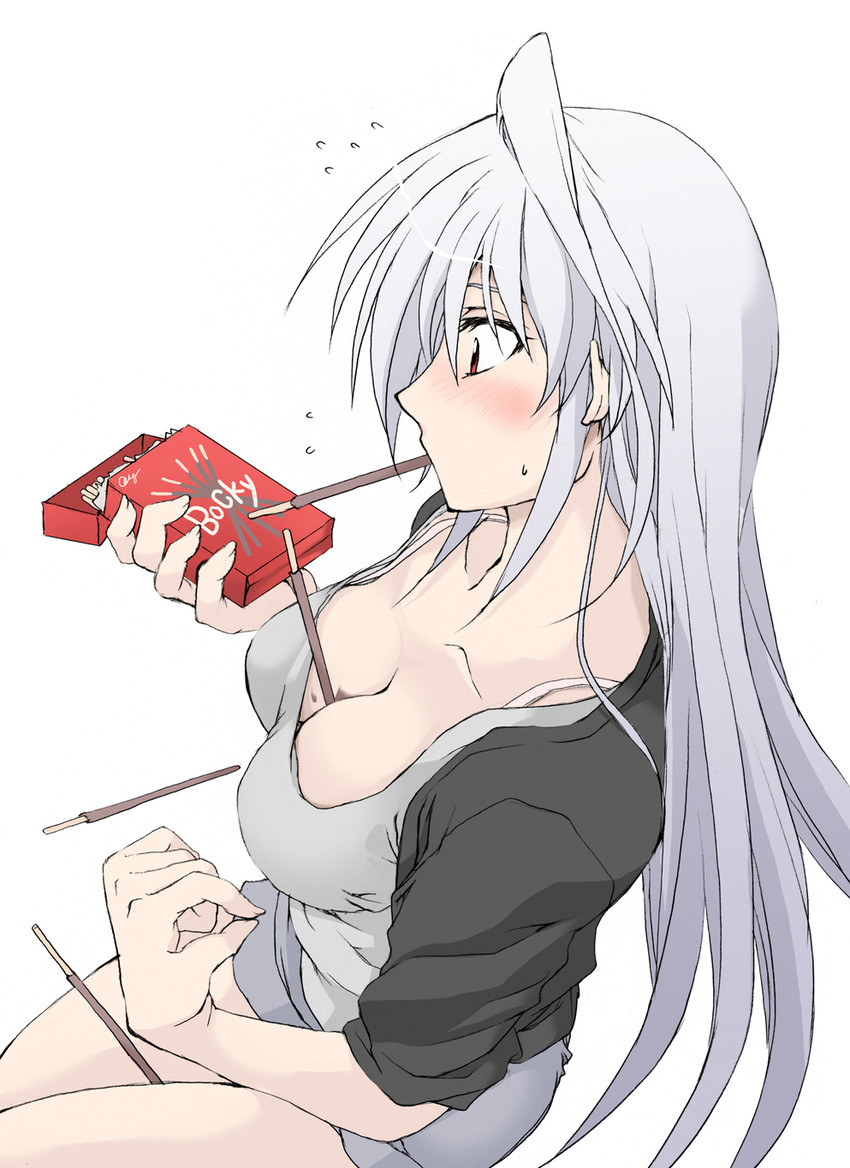 reinforce (lyrical nanoha and 2 more) drawn by elf_(stroll_in_the_woods)