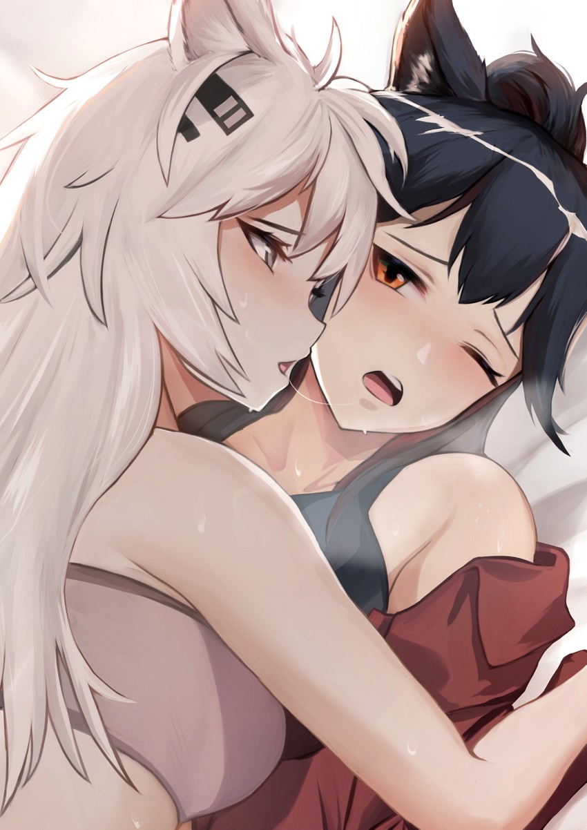 texas and lappland (arknights) drawn by krirk