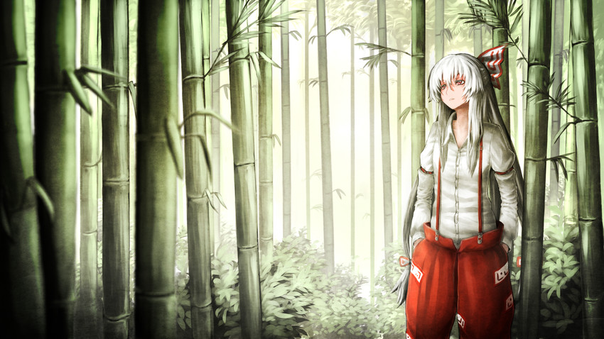 fujiwara no mokou (touhou) drawn by bluedoggie
