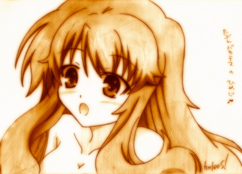 himeji mizuki (baka to test to shoukanjuu) drawn by godees