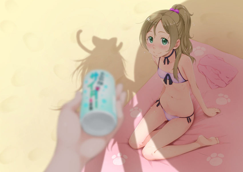 houjou hibiki and minamino kanade (precure and 1 more) drawn by sakura_kotetsu