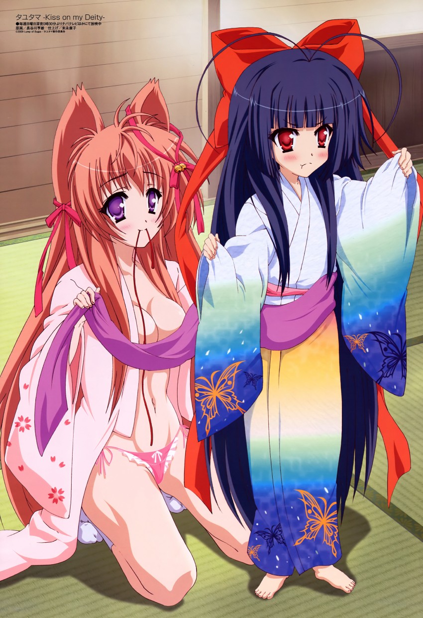 mito mashiro and nue (megami magazine and 1 more) drawn by hasegawa_michio
