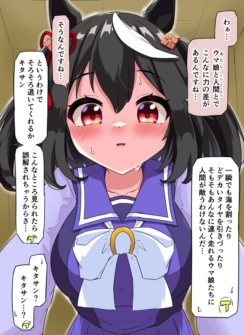 trainer, kitasan black, and t-head trainer (umamusume) drawn by gryebooks