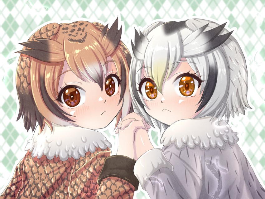 northern white-faced owl and eurasian eagle owl (kemono friends) drawn by midorinor