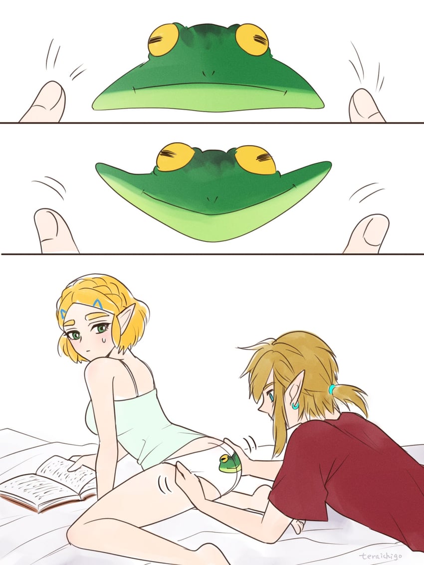 link and princess zelda (the legend of zelda and 2 more) drawn by teraichigo