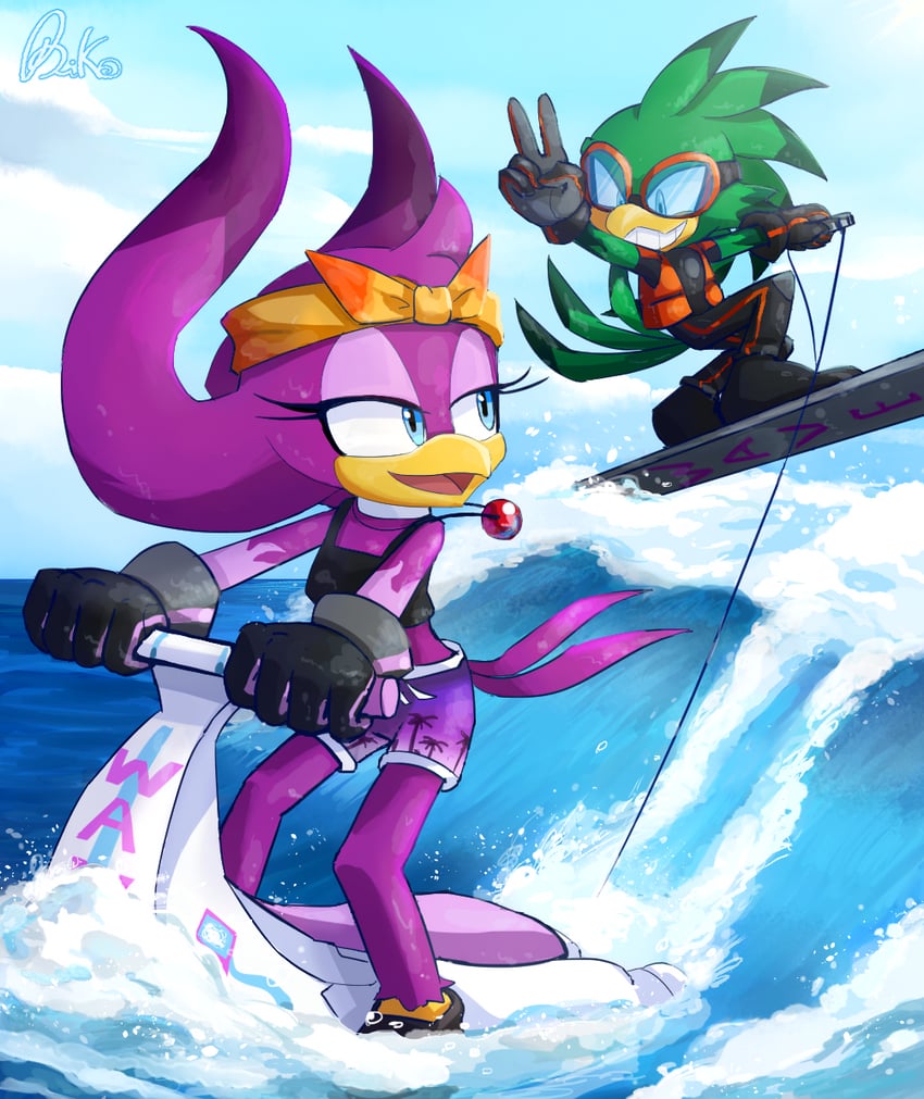 wave the swallow and jet the hawk (sonic and 2 more) drawn by biko97