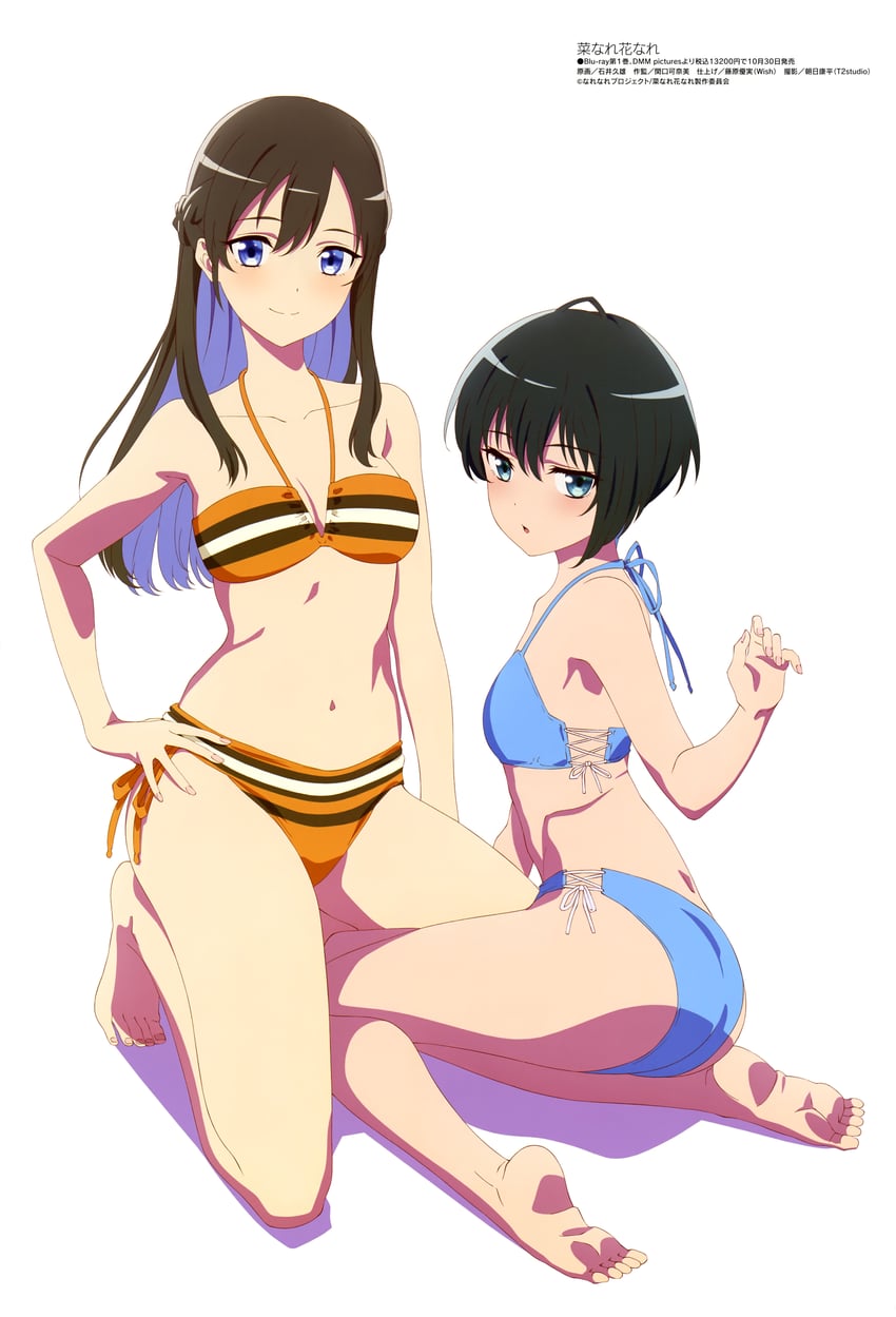 tanizaki shion and obunai suzuha (megami magazine and 1 more) drawn by ishii_hisao