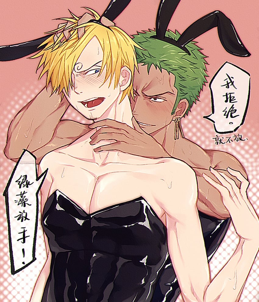 roronoa zoro and sanji (one piece) drawn by brener