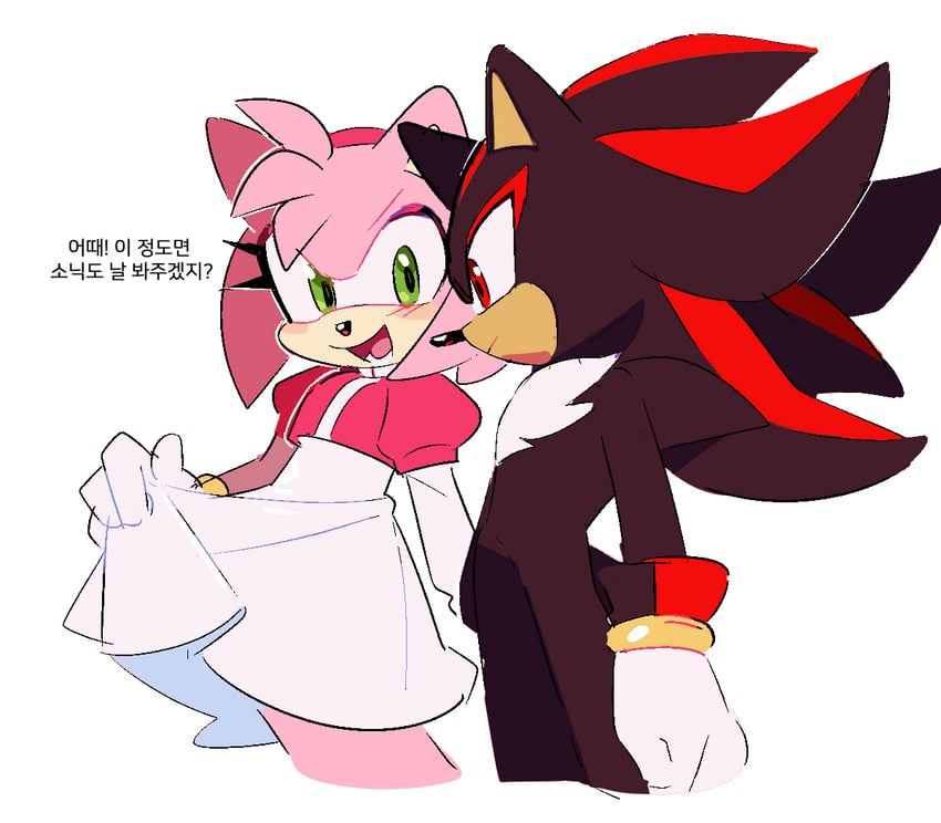 shadow the hedgehog and amy rose (sonic) drawn by weon1119