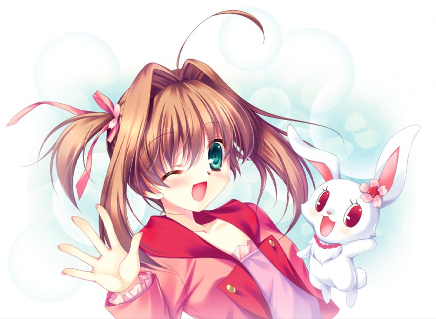 sakura akari and ruby (jewelpet and 1 more) drawn by futaori_arisa