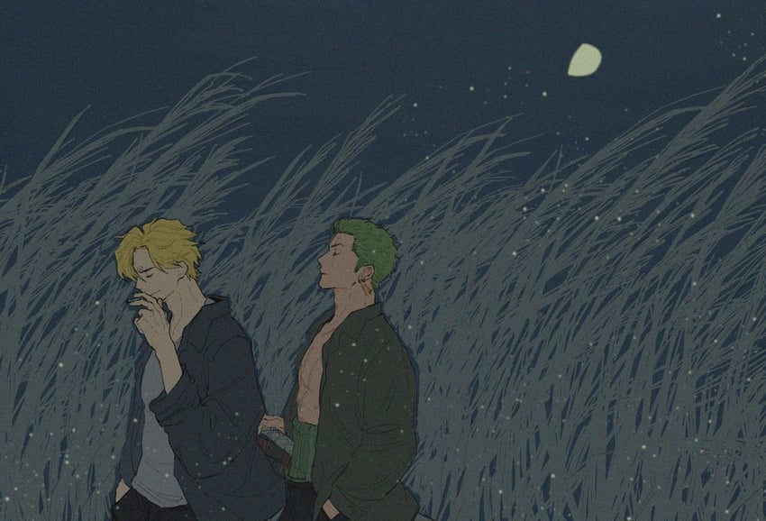 roronoa zoro and sanji (one piece) drawn by errrrrliao_ge_ai