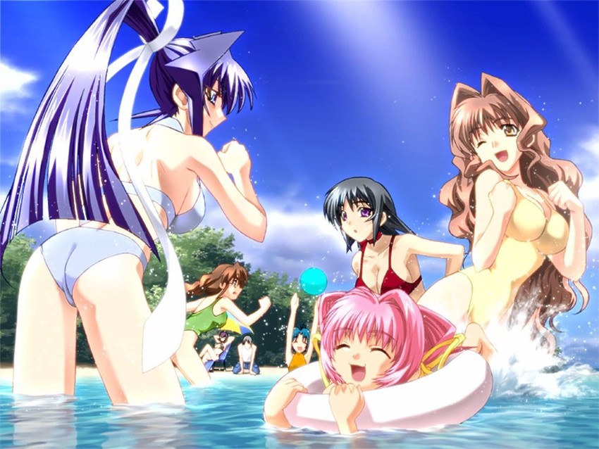 mitsurugi meiya, ayamine kei, shirogane takeru, sakaki chizuru, tamase miki, and 3 more (muv-luv) drawn by bou_(inubou)