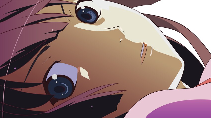 senjougahara hitagi (monogatari and 1 more)