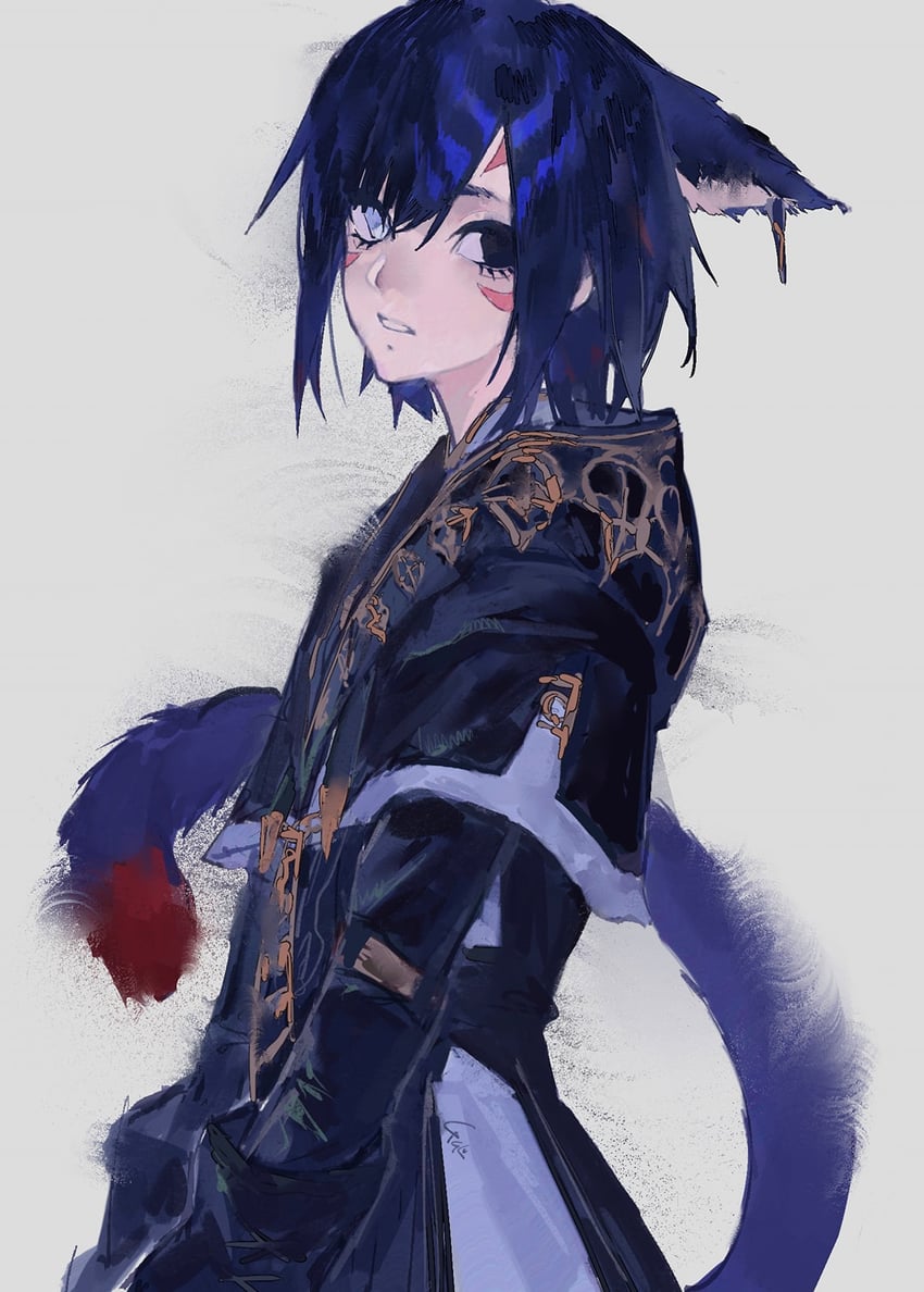 warrior of light (final fantasy and 1 more) drawn by alariess