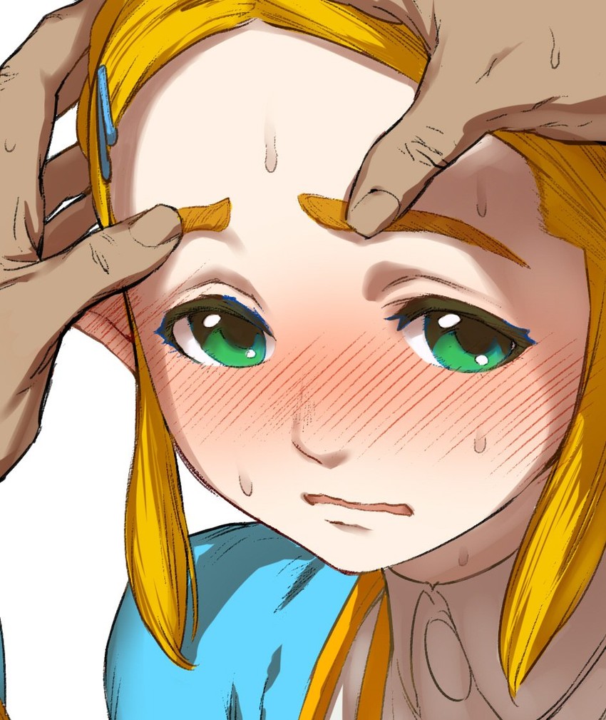 princess zelda (the legend of zelda and 1 more) drawn by ikuchan_kaoru