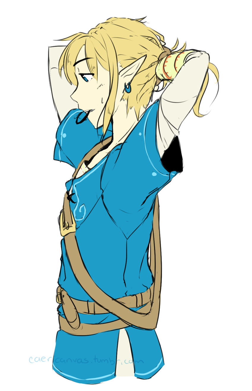 link (the legend of zelda and 1 more) drawn by caericanvas