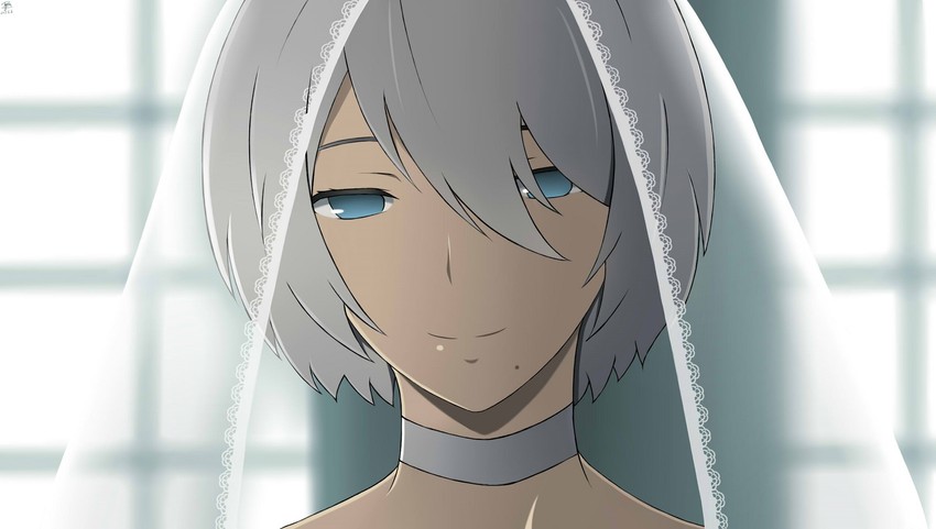 2b (nier and 1 more) drawn by dyxm