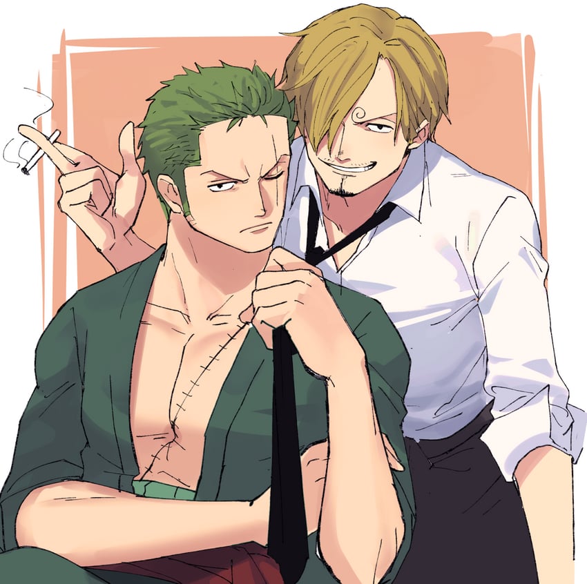 roronoa zoro and sanji (one piece) drawn by shironegi_zzz