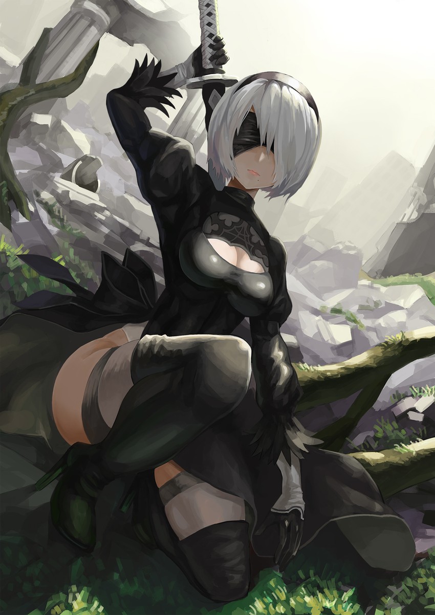2b (nier and 1 more) drawn by riko_(ccllnnhh)