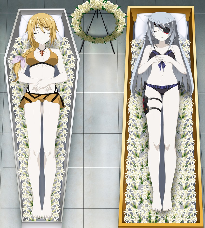charlotte dunois and laura bodewig (infinite stratos) drawn by lazy_tiger