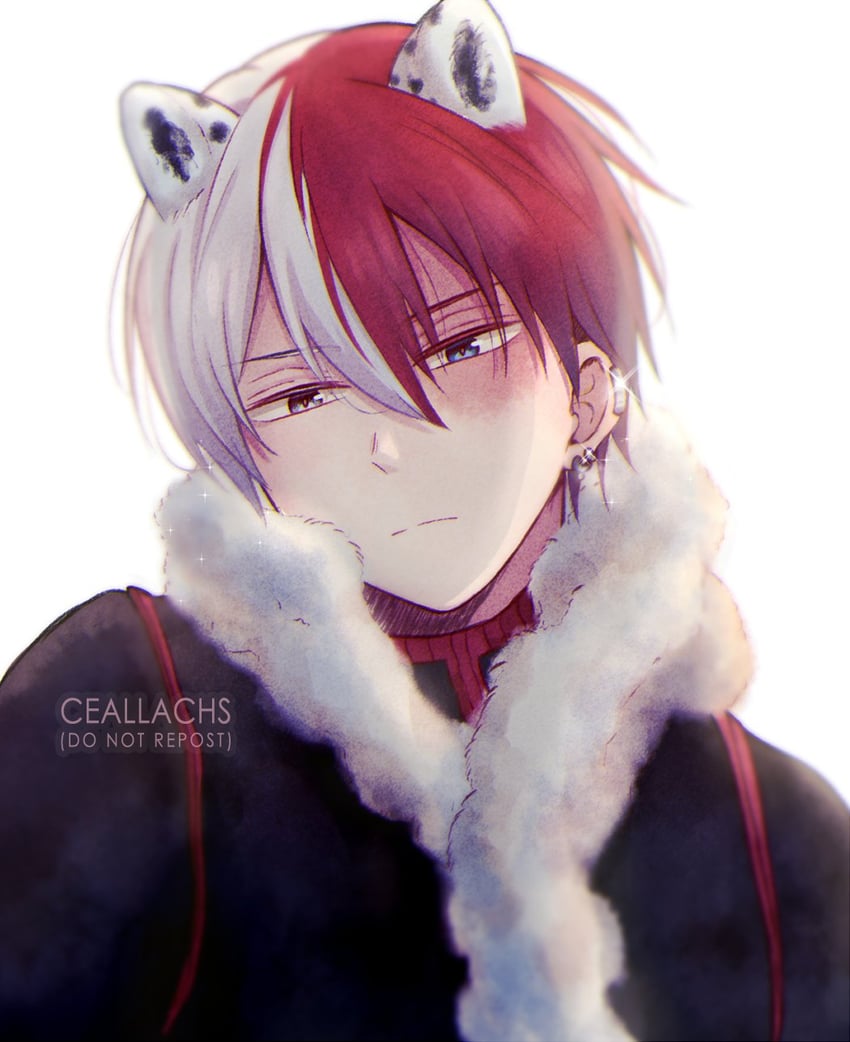 todoroki shoto (boku no hero academia) drawn by ceallachs