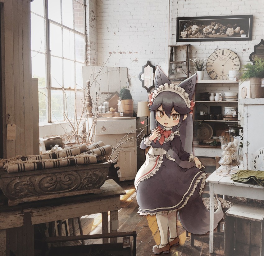 silver fox (kemono friends and 1 more) drawn by kolshica
