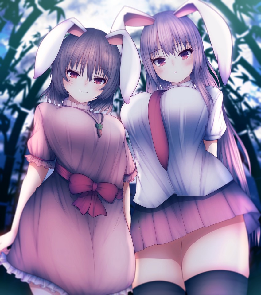 reisen udongein inaba and inaba tewi (touhou) drawn by darumoon
