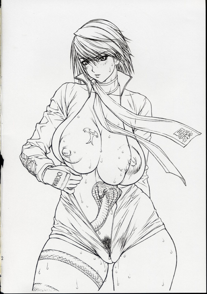 hinomoto reiko and rowdy reiko (rumble roses) drawn by inoue_takuya