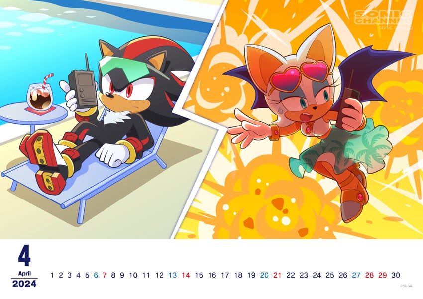 shadow the hedgehog and rouge the bat (sonic and 2 more) drawn by hayane_tomoko