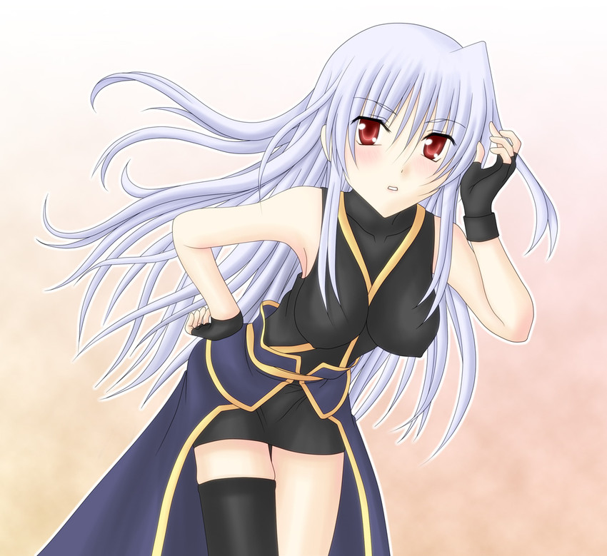 reinforce (lyrical nanoha and 2 more) drawn by sooichi_(diabolicemission)