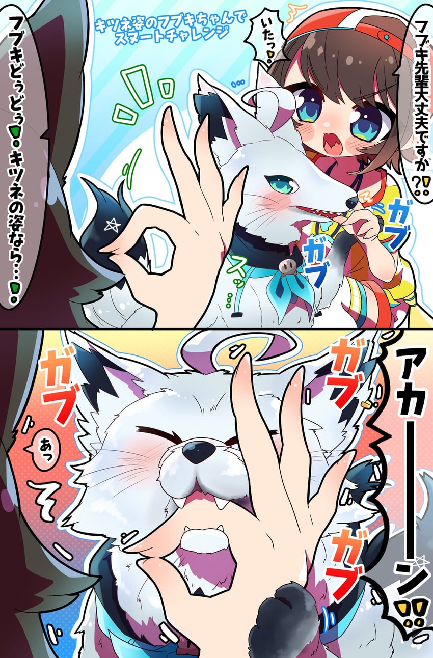 shirakami fubuki, ookami mio, and oozora subaru (hololive) drawn by sakuramochi_(sakura_frappe)