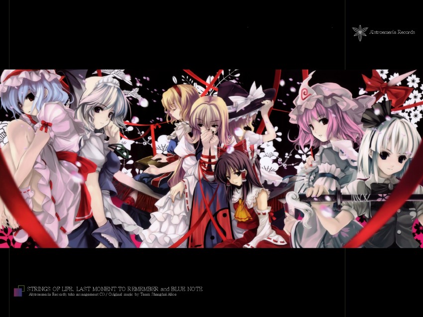 hakurei reimu, kirisame marisa, remilia scarlet, izayoi sakuya, konpaku youmu, and 3 more (touhou and 1 more) drawn by cradle_(circle) and misaki_kurehito