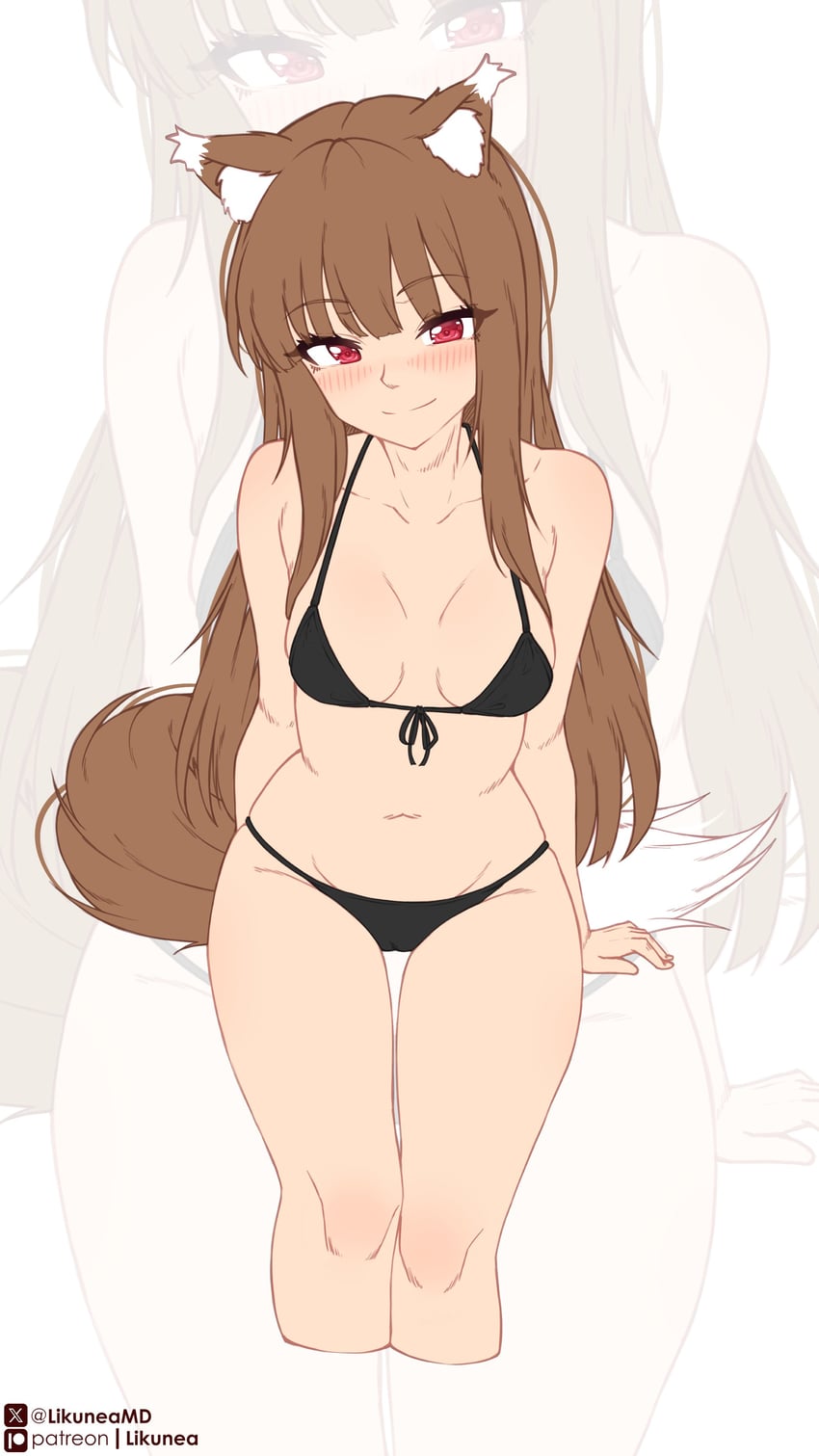 holo (spice and wolf) drawn by likunea