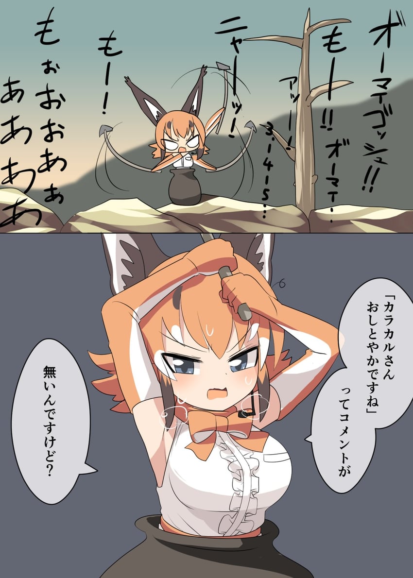 caracal (kemono friends and 2 more) drawn by lets0020