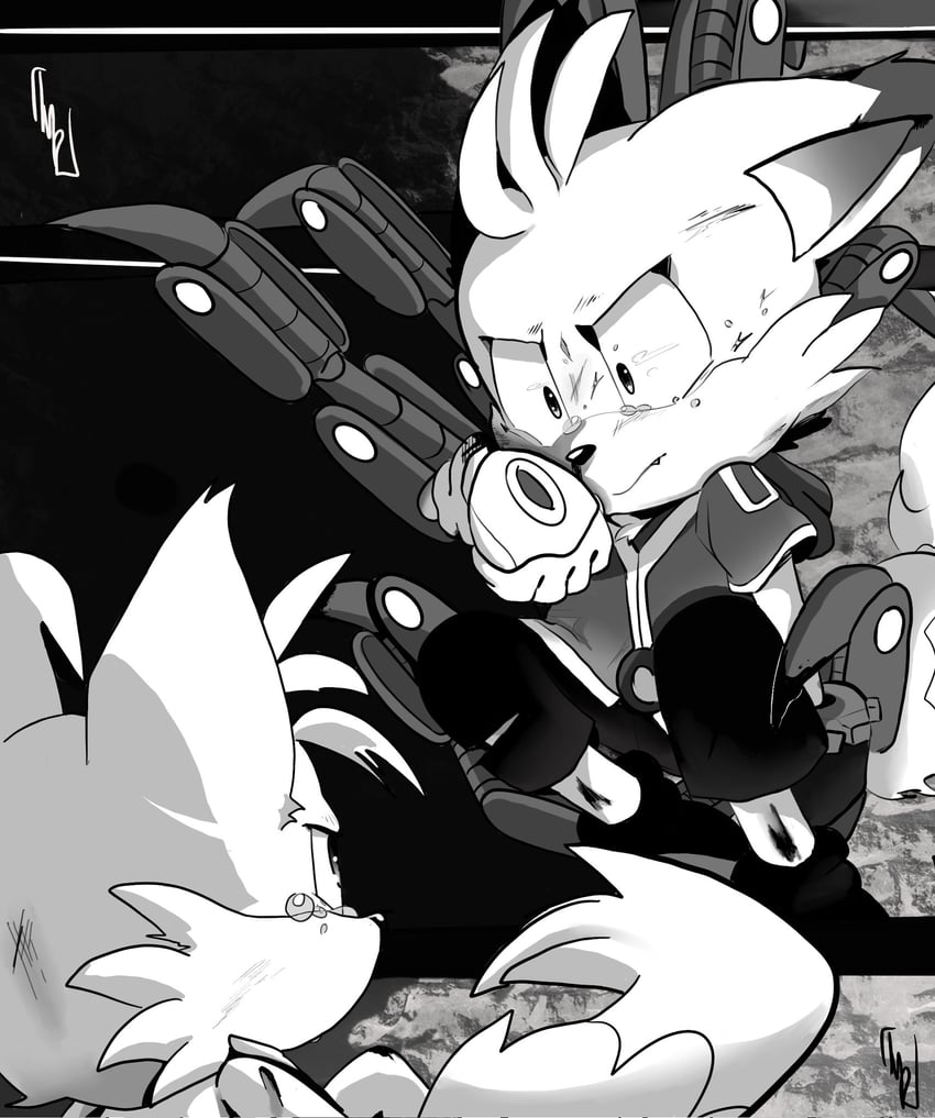 tails and nine (sonic and 1 more) drawn by pillynaps