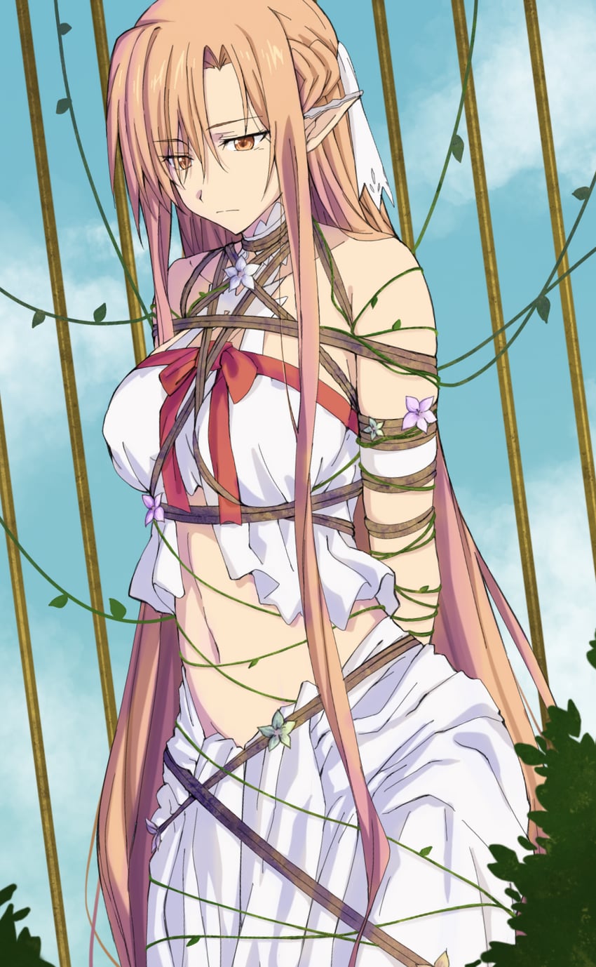 asuna and titania (sword art online) drawn by hao718