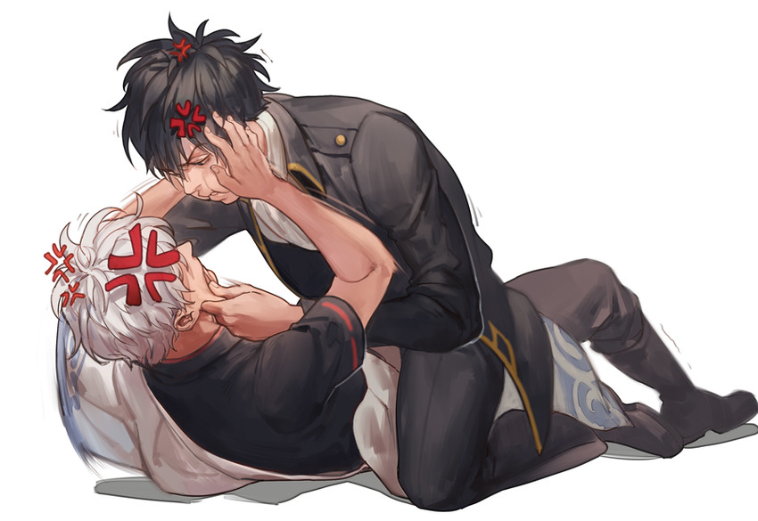 sakata gintoki and hijikata toushirou (gintama) drawn by naked_cat