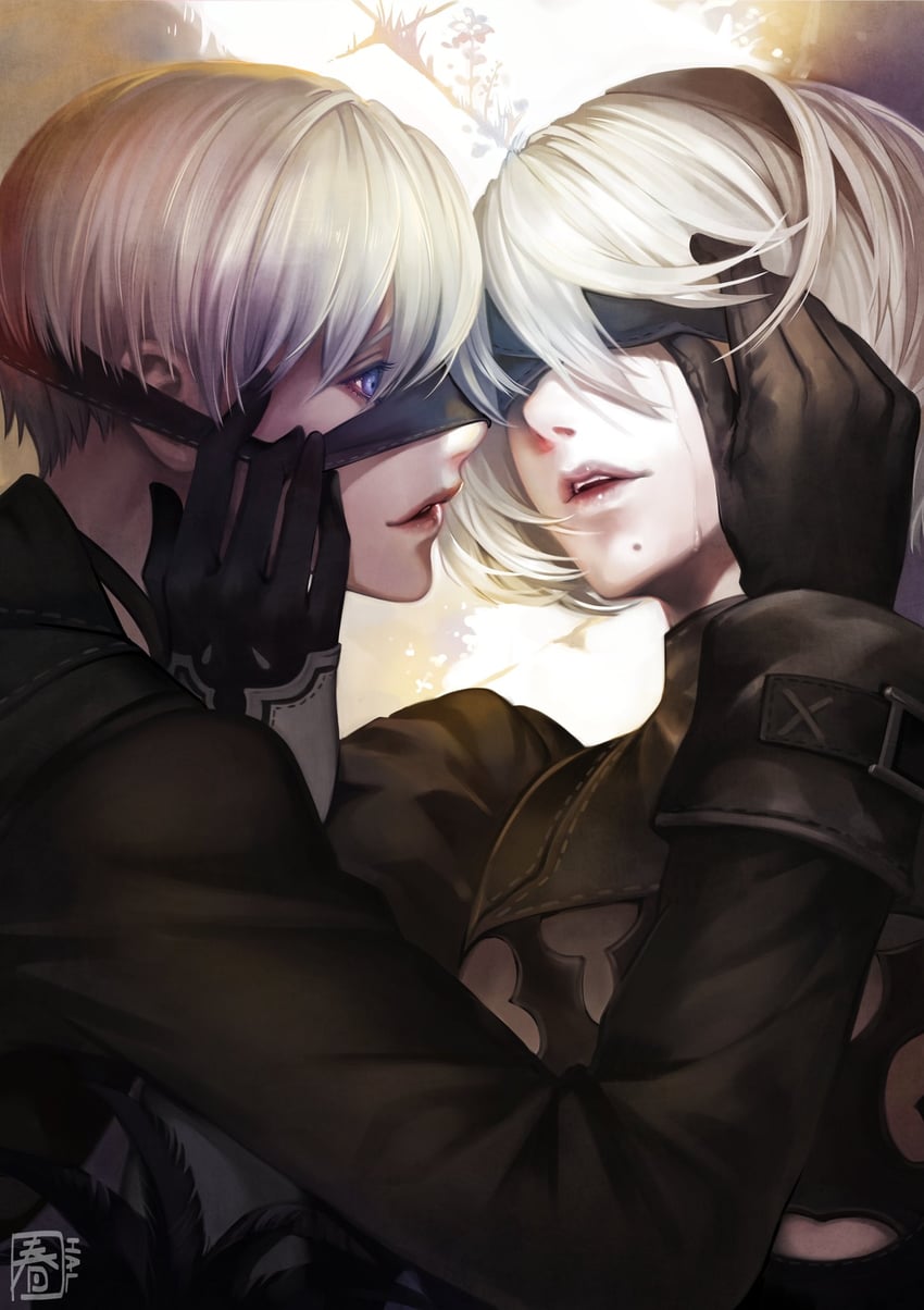 2b and 9s (nier and 1 more) drawn by halu-ca