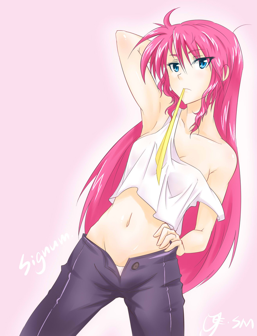 signum (lyrical nanoha and 2 more) drawn by shumai_(sm318)