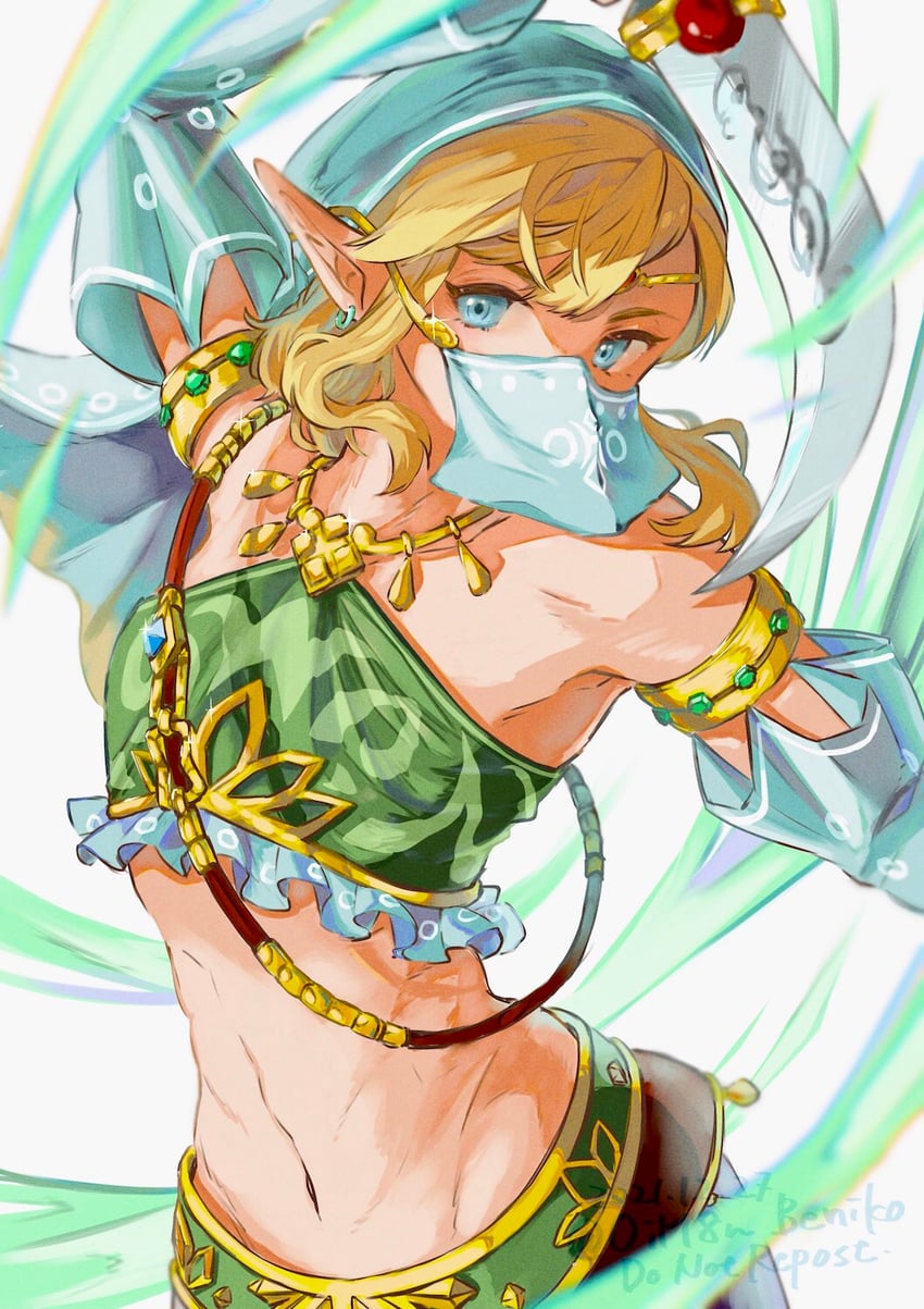 link (the legend of zelda and 1 more) drawn by oim8n